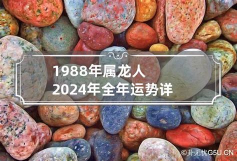 1988 年 生肖|1988年出生属什么生肖 1988年属龙是什么命